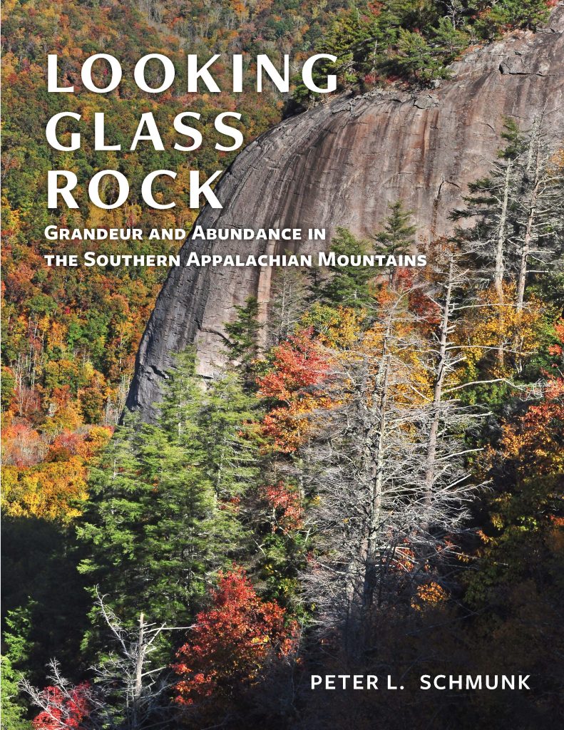 Book cover of Looking Glass Rock by Peter L. Schmunk