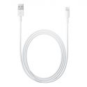 Apple Lightning Cable