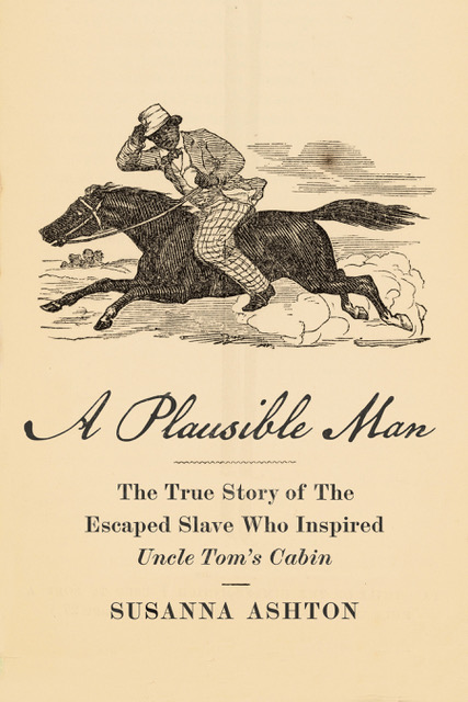 Book cover of "A Plausible Man"