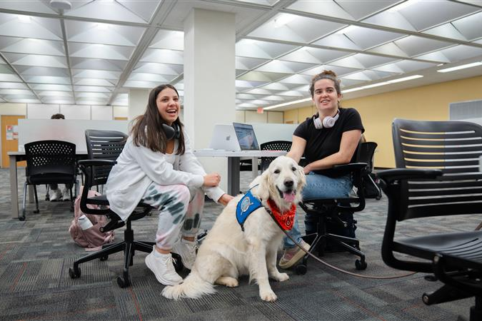 Smiling students petting Seth the comfort dog in the Learning Commons.